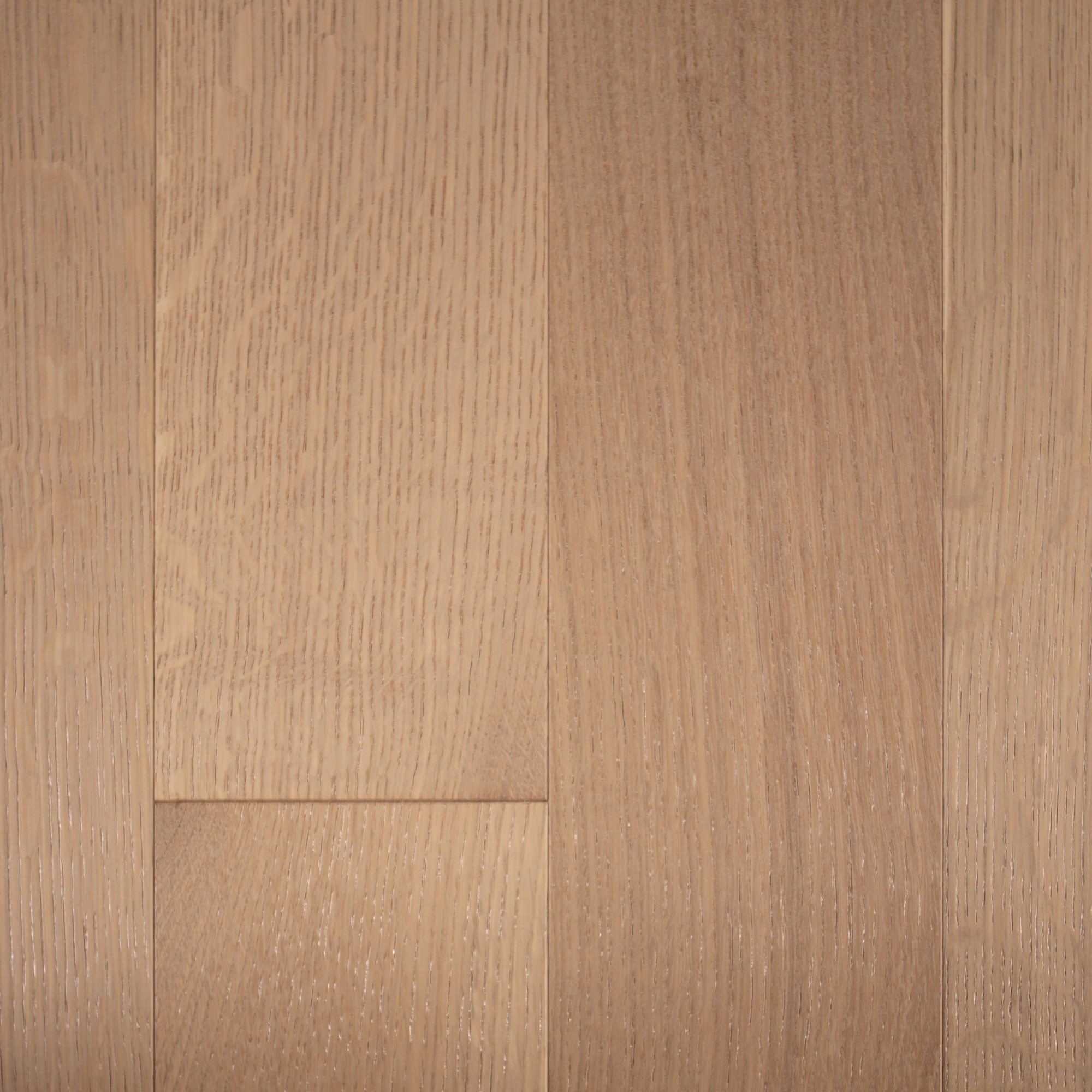 White Oak Nautilus Wire Brushed Rift & Quarter Sawn