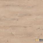 LAKELAND OAK
