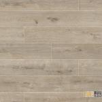SILVER SHADOW OAK