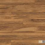 APPALACHIAN HICKORY