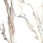 Calacatta Gold